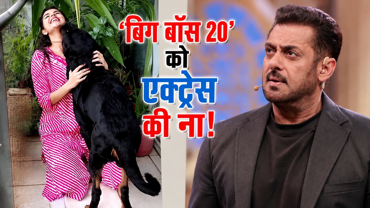 'बिग बॉस 20' से आया ऑफर, एक्ट्रेस ने झटके में कर दिया इनकार, जानिए क्या है वजह