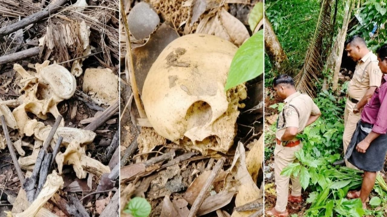 തലയോട്ടിയും അസ്ഥികളും വേറിട്ട നിലയിൽ, പറമ്പിൽ മനുഷ്യ അസ്ഥികൂടത്തിന്റെ ഭാഗങ്ങൾ, കാണാതായ വയോധികന്റേതെന്ന് സംശയം