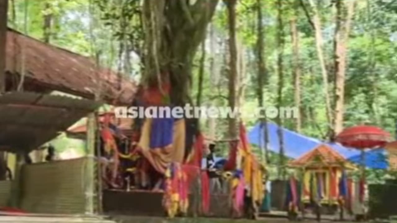 22 സ്വർണ്ണ താലികൾ 5 സ്വർണ്ണ പൊട്ടുകൾ സ്വർണ്ണ ആൾരൂപങ്ങൾ എല്ലാം പോയി, കോന്നി കല്ലേലി ശിവചാമുണ്ഡി ക്ഷേത്രത്തിൽ വൻ കവർച്ച