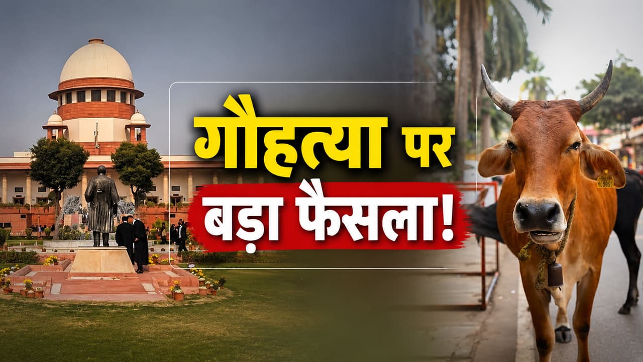 गौहत्या पर सुप्रीम कोर्ट का बड़ा एक्शन! हाईकोर्ट के फैसले पर लगाई रोक