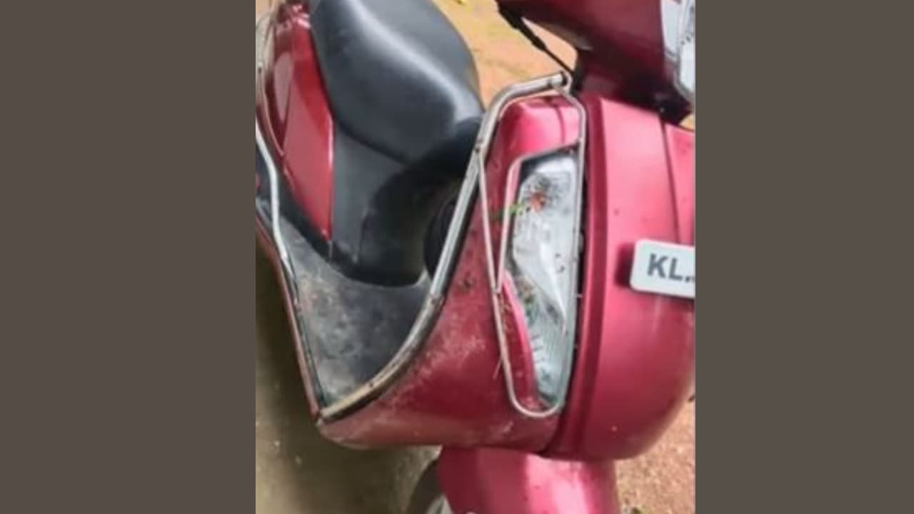 കാട്ടാന തുമ്പിക്കൈ കൊണ്ട് അടിച്ചുവീഴ്ത്തി; സ്കൂട്ടറിൽ പോവുകയായിരുന്ന യുവതി രക്ഷപ്പെട്ടത് അത്ഭുതകരമായി