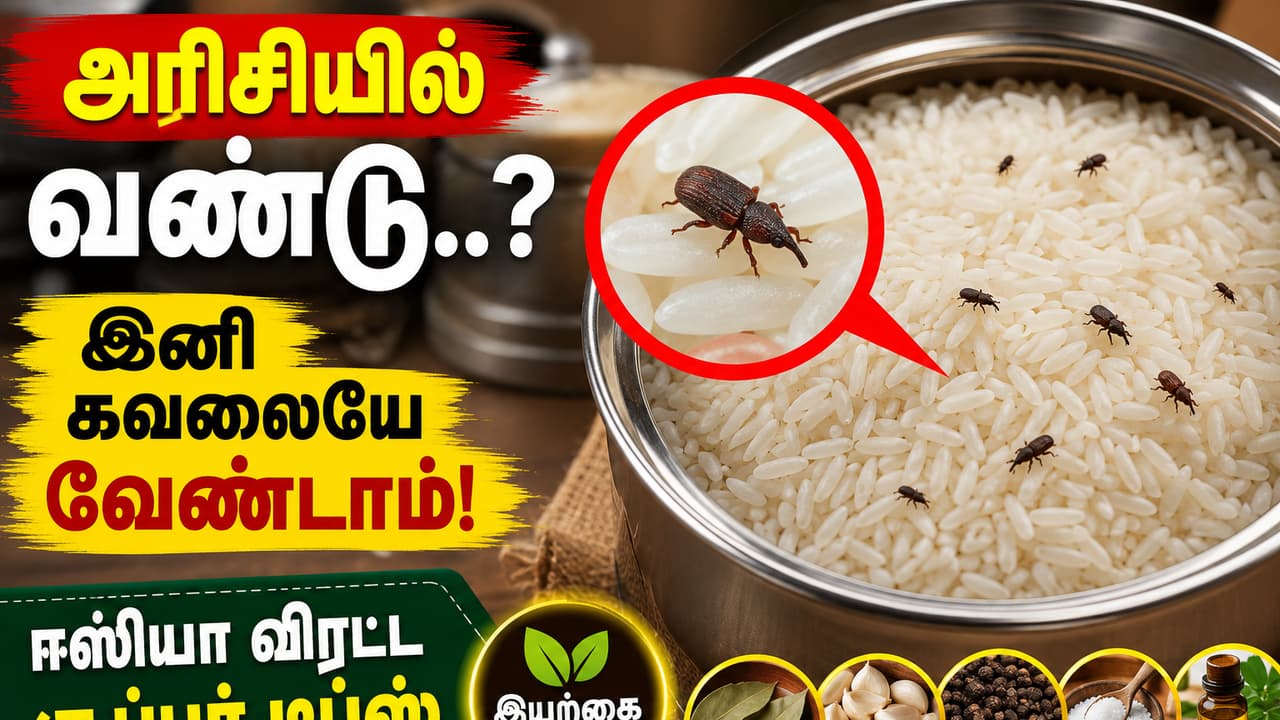 Rice Storage Hacks: அரிசியில் வண்டா..? இனி கவலையே வேண்டாம்... இதோ செம்ம சிம்பிள் கிச்சன் ஹேக்ஸ்..!