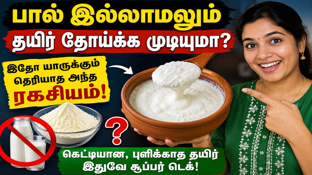 Kitchen Tips: பால் இல்லாமலும் தயிர் தோய்க்க முடியுமா? இதோ யாருக்கும் தெரியாத அந்த ரகசியம்!