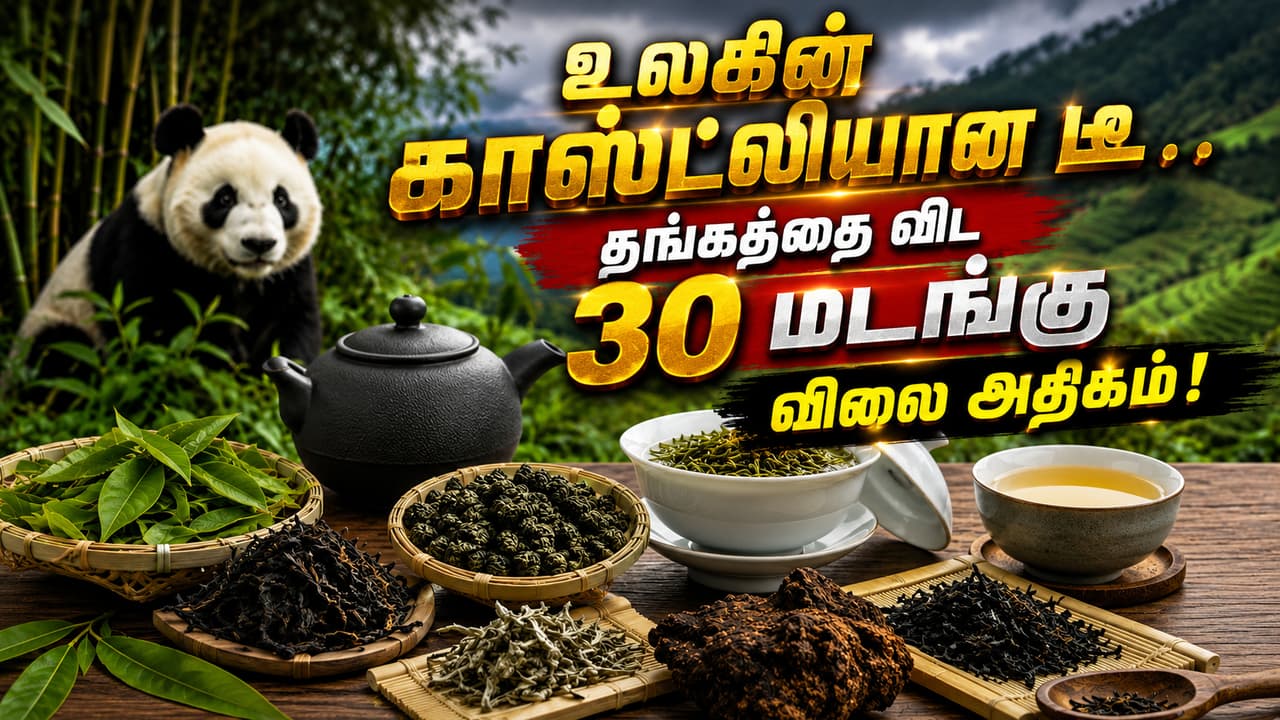 Tea : உலகின் காஸ்ட்லியான டீ... தங்கத்தை விட 30 மடங்கு விலை அதிகம்! அப்படி அதுல என்ன ஸ்பெஷல்?