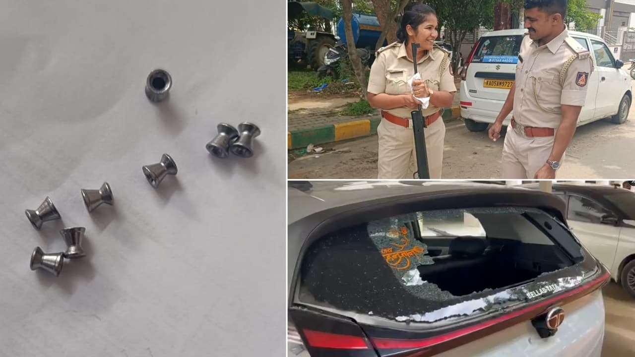Drunk Bengaluru Techie Allegedly Fires Air Gun at Security Guards, Arrested