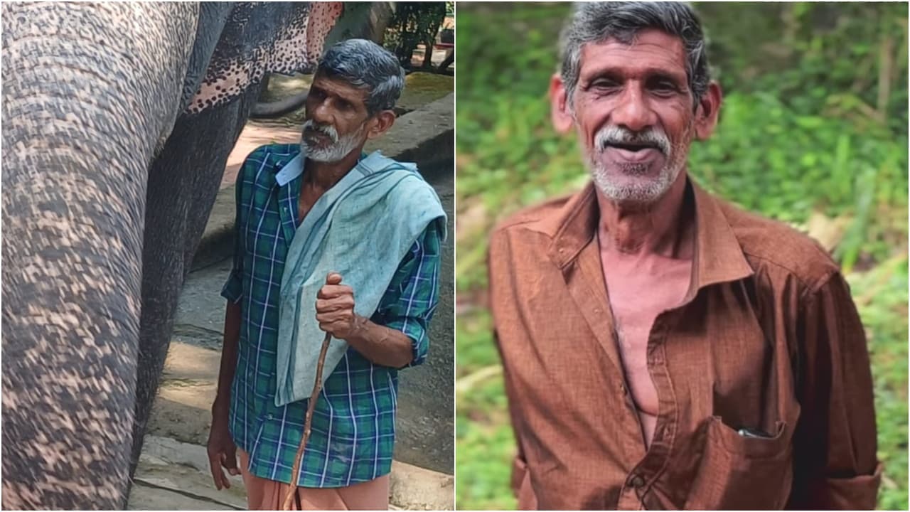 തുമ്പിക്കൈയിലെ മുറിവിൽ മരുന്ന് വയ്ക്കാൻ ശ്രമിക്കവേ ആന കുത്തി, പാപ്പാന് ദാരുണാന്ത്യം