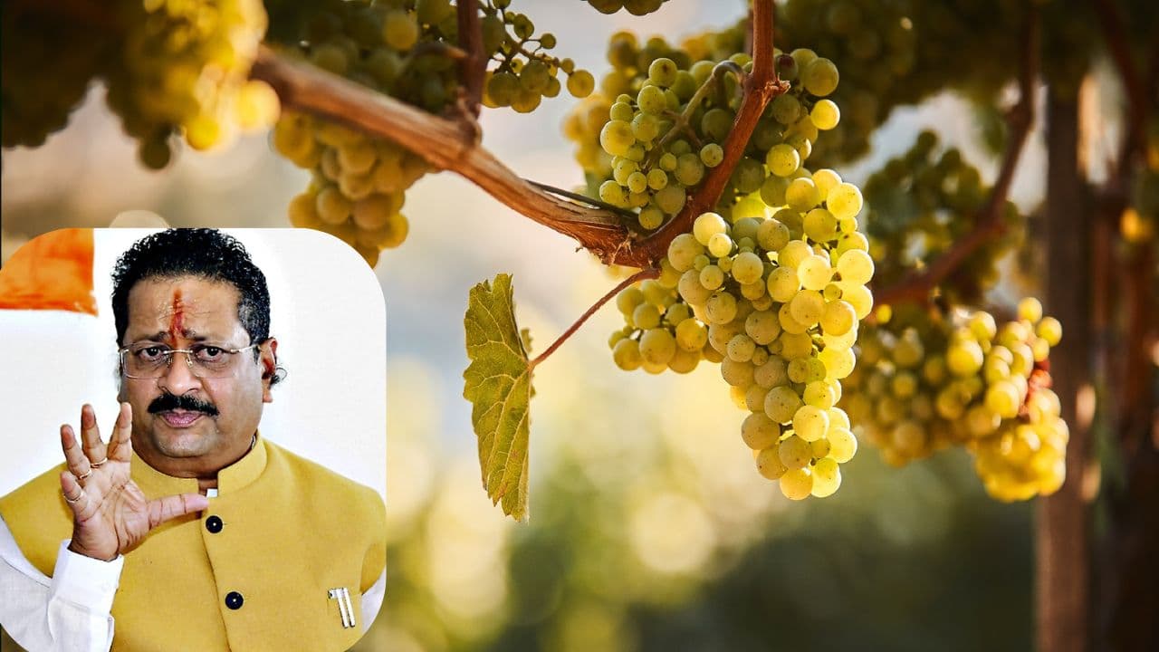 Vijayapura Raisin Farmers Get Big Boost As Online Trading Hits New Record, Says MLA Yatnal