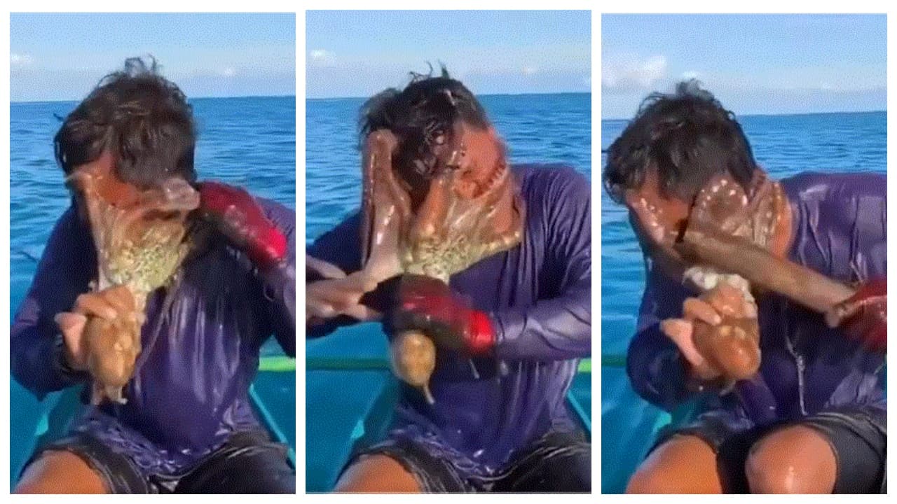 w-1280,h-720,format-jpg,imgid-01m04ptgx8a76tj9q6s4me6e5b,imgname-octopus-clings-to-fisherman-s-face-1786864550824.jpg