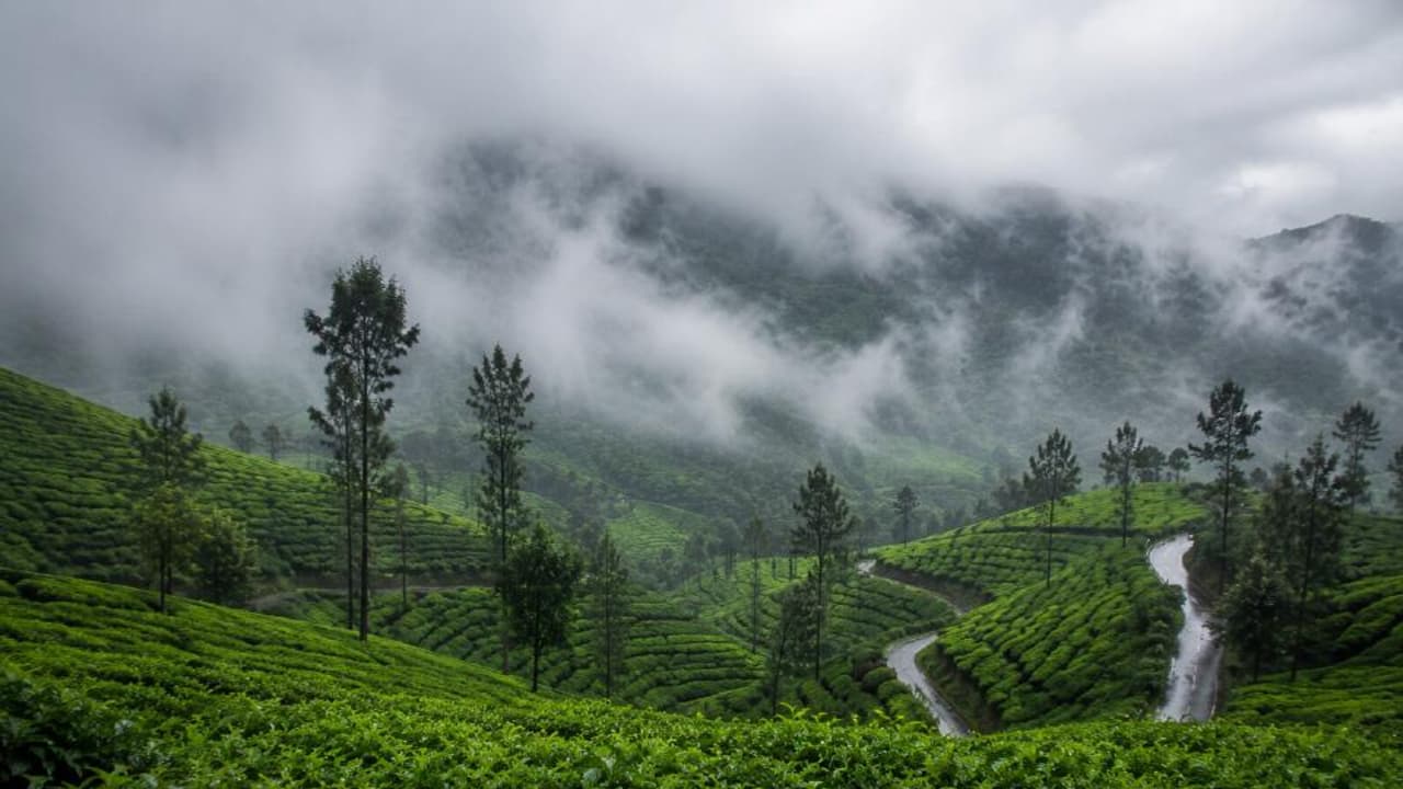 w-1280,h-720,format-jpg,imgid-01m0a10b1j8h3we1c1rmac8xjr,imgname-munnar-1787042999346.jpg