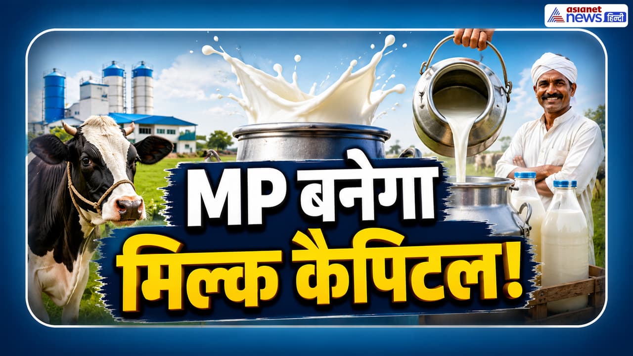 MP Dairy News: दूध उत्पादन बढ़ाने पर CM मोहन यादव का बड़ा फोकस, पशुपालकों के लिए मेगा प्लान तैयार