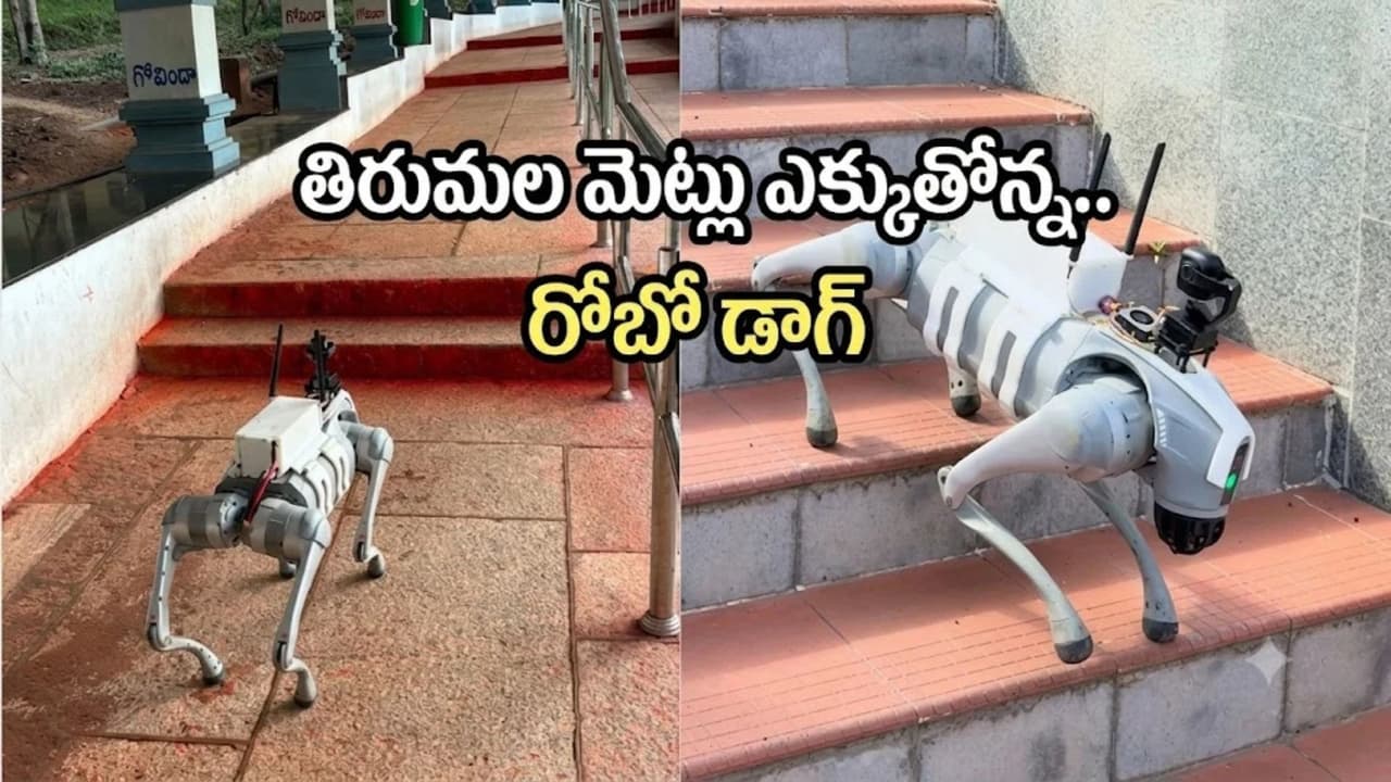 తిరుమ ల కాలిన డక మార్గంలో రోబో డాగ్.. ఇంత కీ దీని ఉప యోగం ఏంటంటే