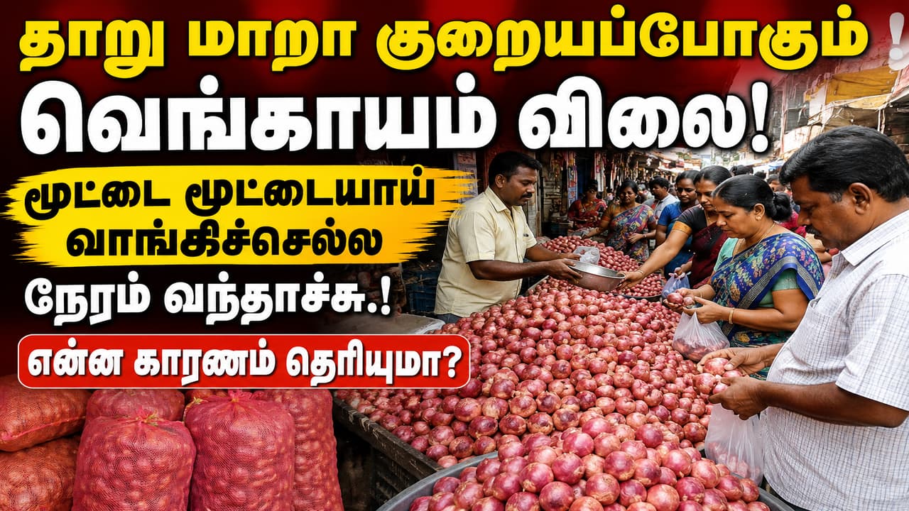 Onion Price: தாறு மாறா குறையப்போகும் வெங்காயம் விலை! மூட்டை மூட்டையாய் வாங்கிச்செல்ல நேரம் வந்தாச்சு.! என்ன காரணம் தெரியுமா?