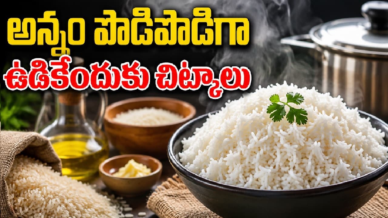 అన్నం ముద్ద కాకుండా పొడి పొడిగా ఉడకాలంటే ఈ చిన్న చిట్కా ఉపయోగించండి చాలు అన్నం ముద్ద కాకుండా పొడి పొడిగా ఉడకాలంటే ఈ చిన్న చిట్కా ఉపయోగించండి చాలు