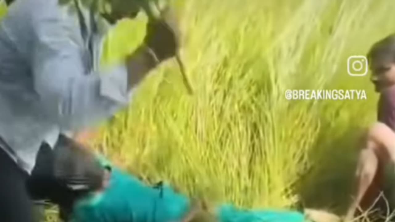 Viral Video: Girl Held Down As Four Boys Beat Her With Stick! (WATCH)