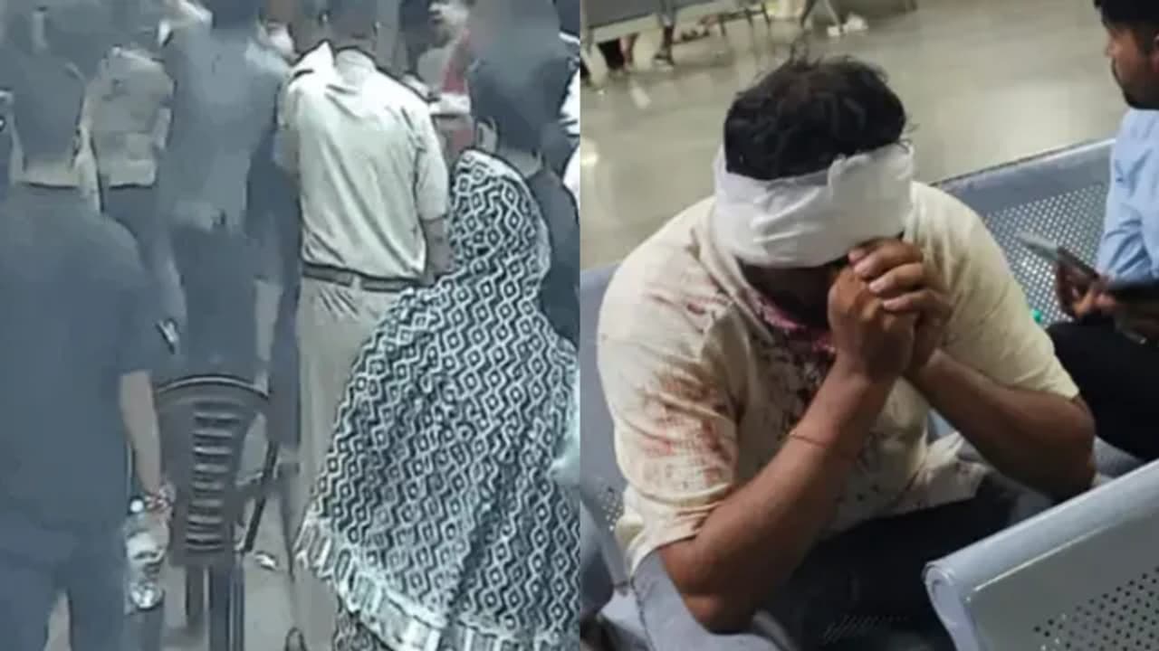 Udaipur Restaurant Dispute Over Cockroach In Food Turns Violent, Tourist Assaulted Brutally