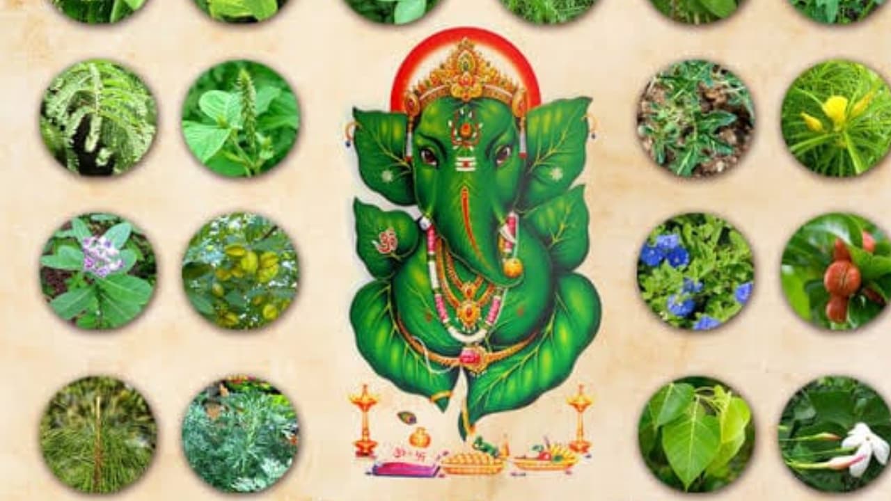 vinayagar chaturthi: விநாயகருக்கு 21 இலைகள் படைப்பது ஏன்? காரணம் தெரிந்தால் ஆச்சரியப்படுவீங்க!