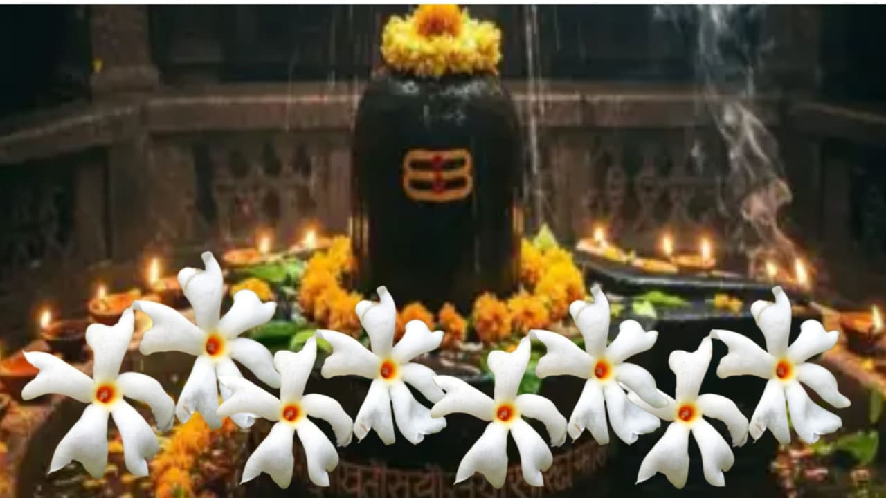 मुख्य दरवाजावर महादेवाची मूर्ती नको, वास्तुशास्त्रानुसार गणपती-हनुमान शुभ