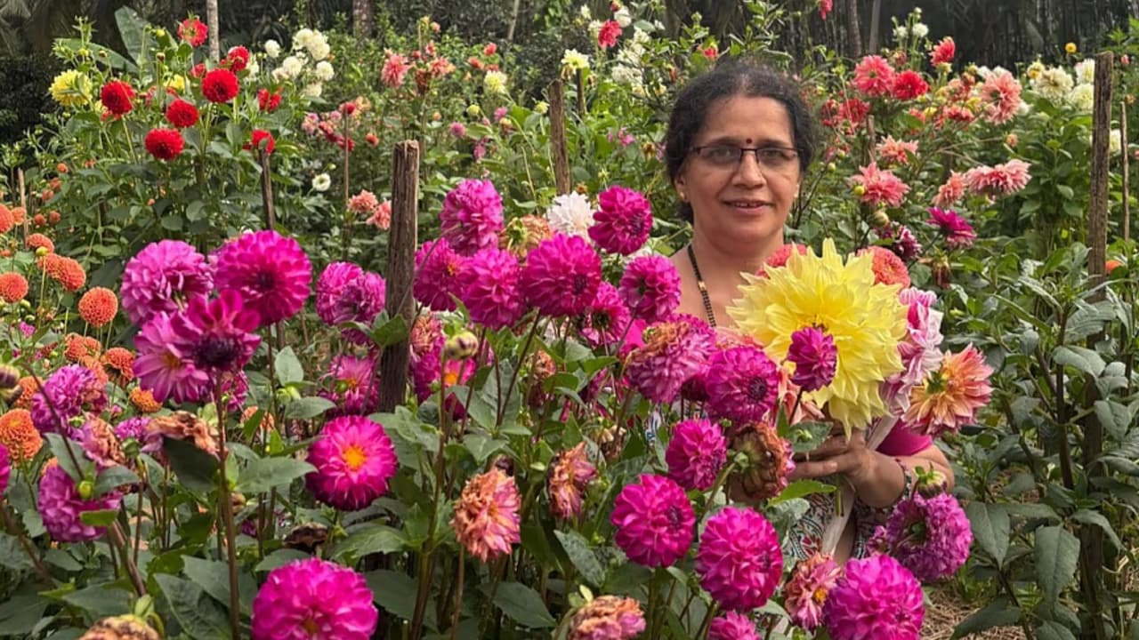 ₹2ರಿಂದ ₹10ರವರೆಗೆ ಒಂದು ಹೂವಿಗೆ ಬೆಲೆ; ಸಿರ್ಸಿಯ ಮಹಿಳೆಯರು ಕಂಡುಕೊಂಡ ಹೊಸ ಆದಾಯದ ದಾರಿ