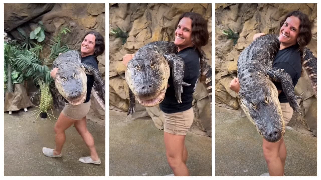 w-1280,h-720,format-jpg,imgid-01m3ngqnk6m5dx60zjdsn4rj02,imgname-woman-carries-250-pound-alligator-1790649816678.jpg