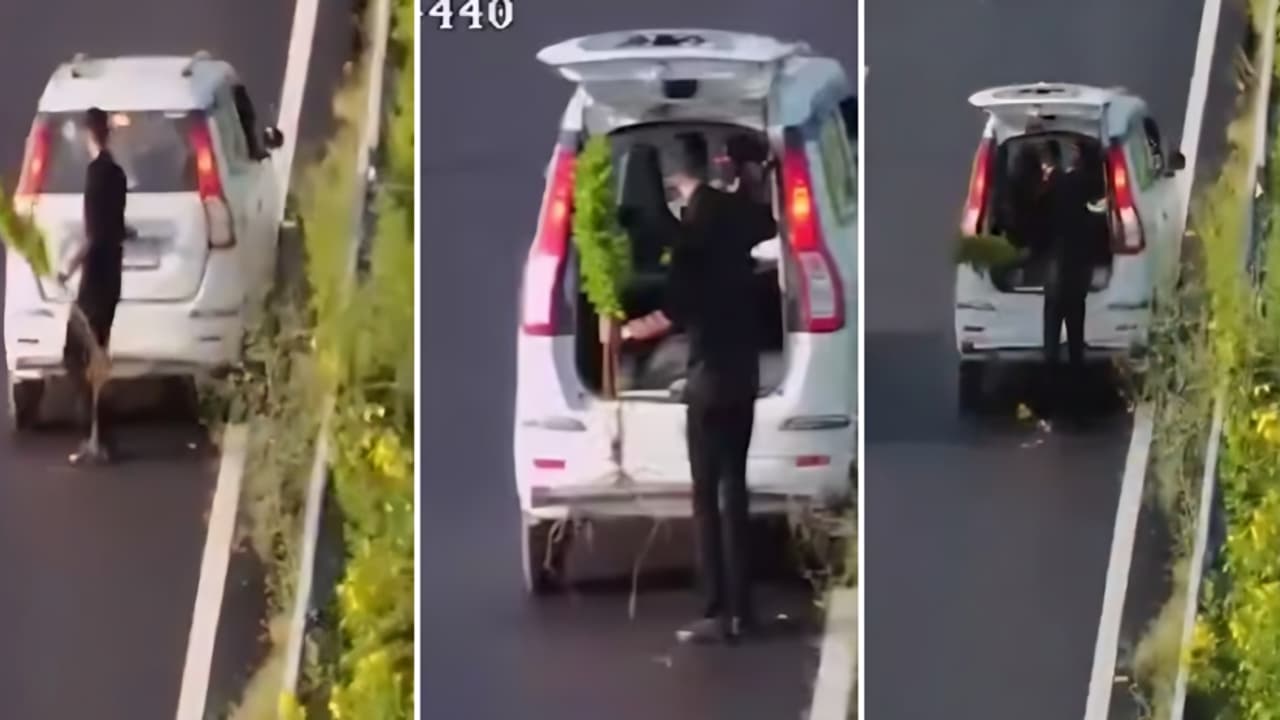 बागपतमध्ये हायवेवरील झाड चोरल्याचा व्हिडिओ व्हायरल