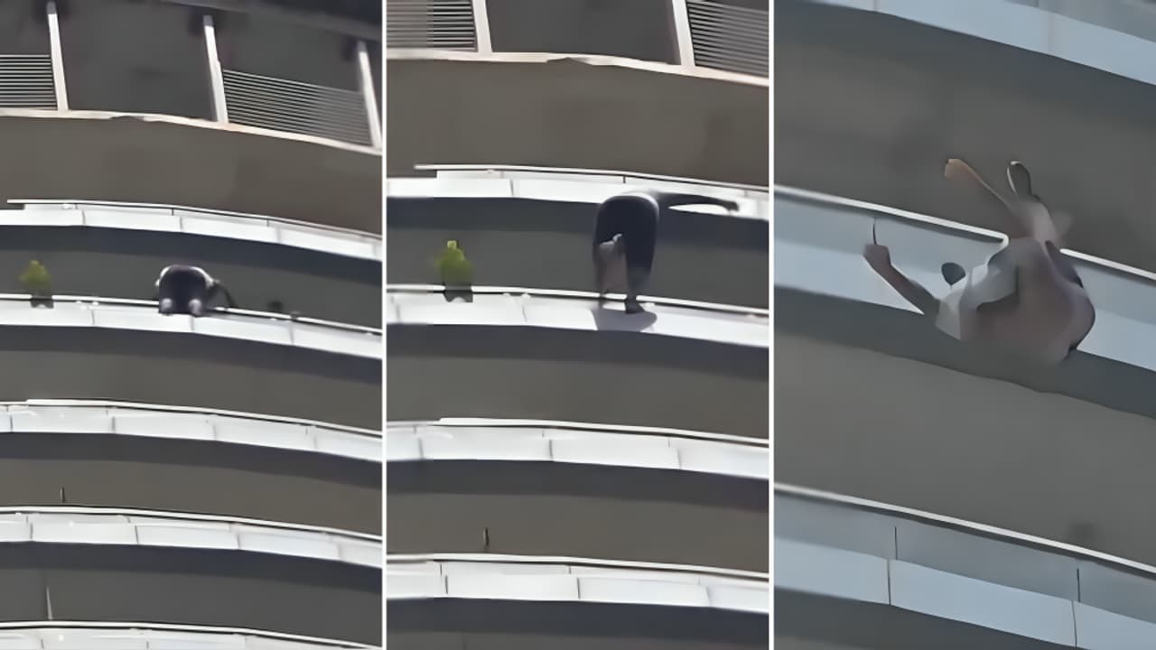 A man in Noida jumped to death from a Supernova complex in Sector 94. The deceased, identified as Sambhav Jain of Gurugram’s IMT Manesar, had reportedly been staying alone at the property for a day. Police said he appeared to be under mental stress and are examining his chats, CCTV footage and other evidence.
