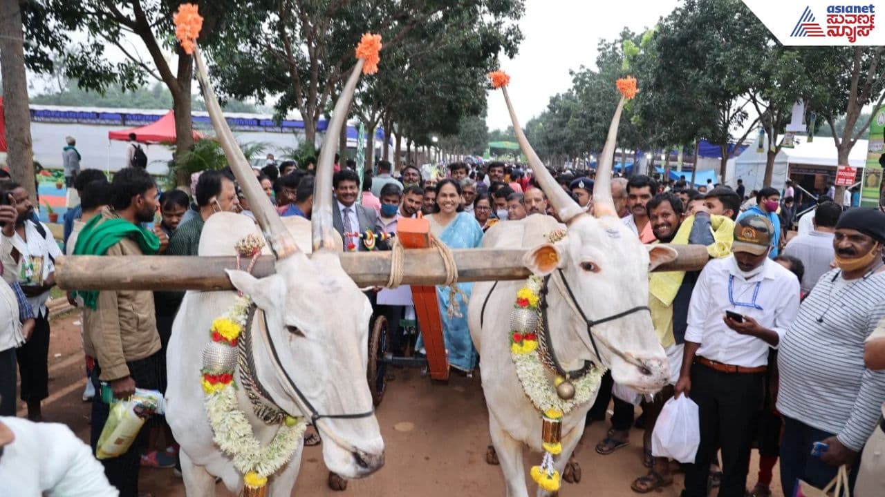 Bengaluru Agricultural Mela reduced to one day due to drought