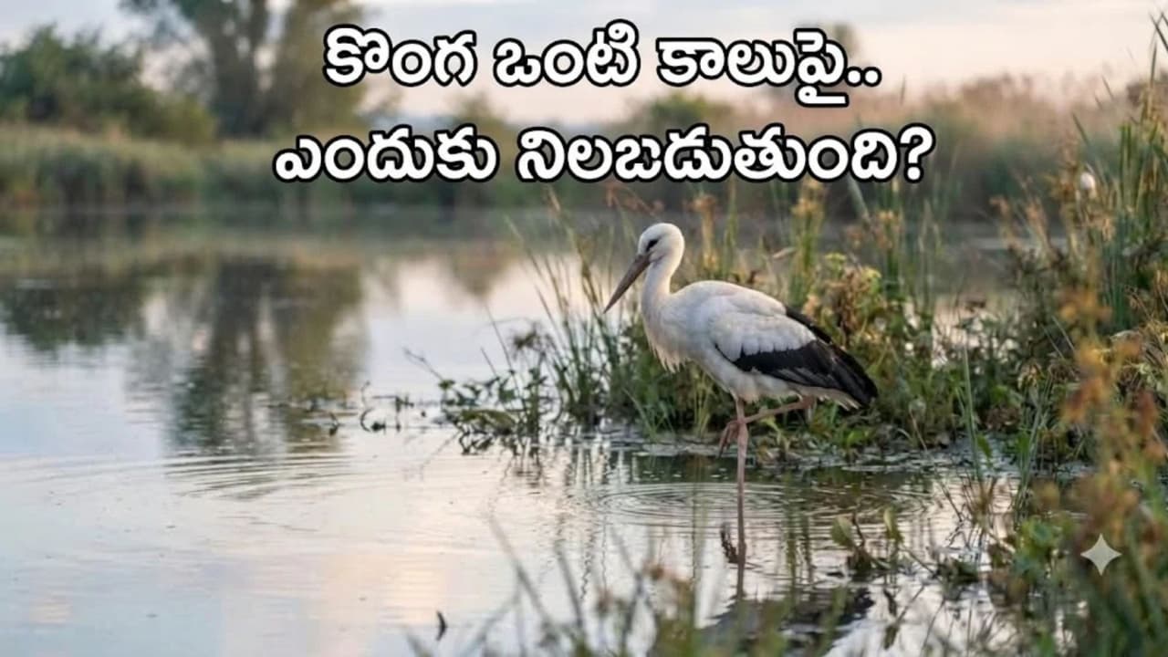 గువాహటి నైట్ క్లబ్‌లో యువతిపై దాడి.. ఏడుగురు అరెస్టు
