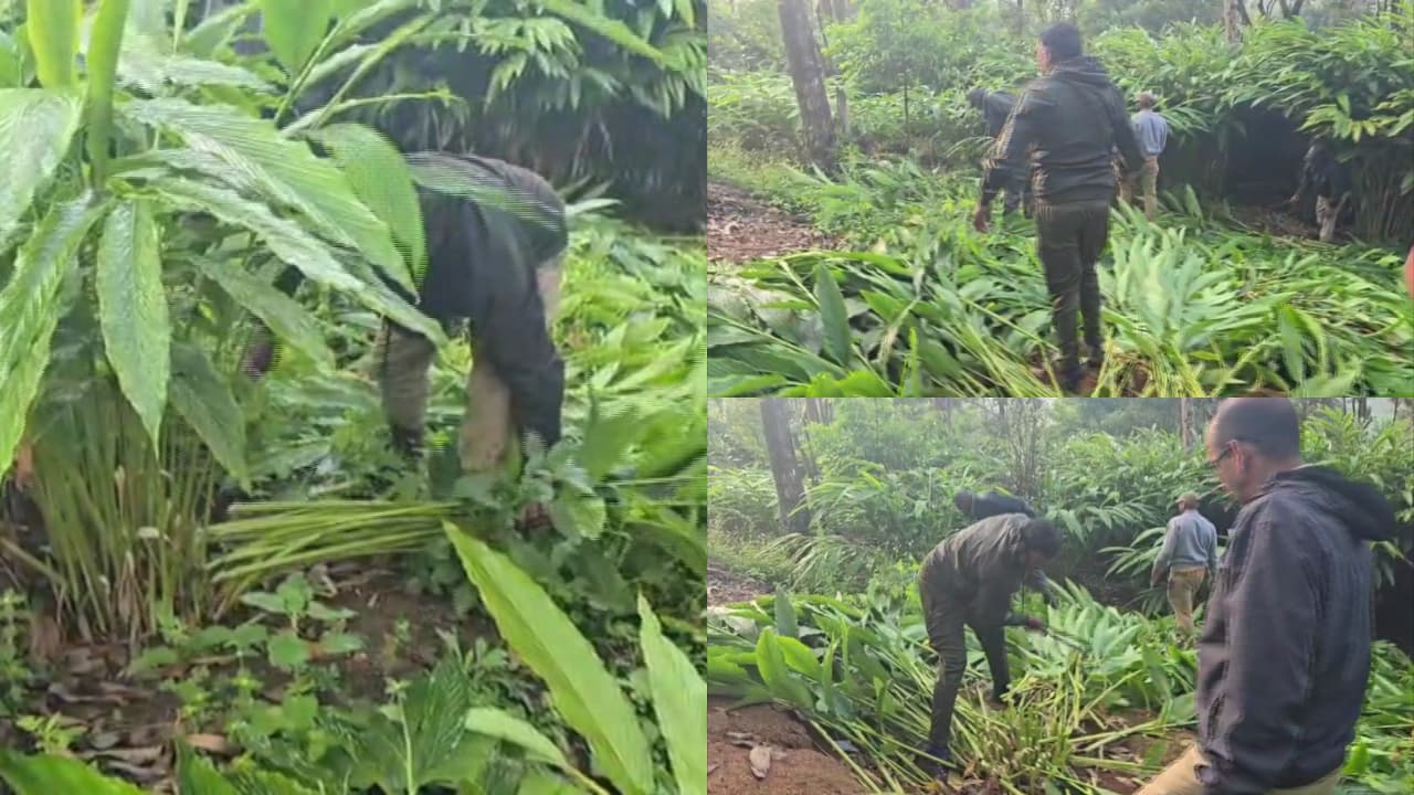 w-1280,h-720,format-jpg,imgid-01m47tjmpnvfdjwtcfp19dxnnw,imgname-idukki-chinnakanal-encroachment-1791264117461.jpg