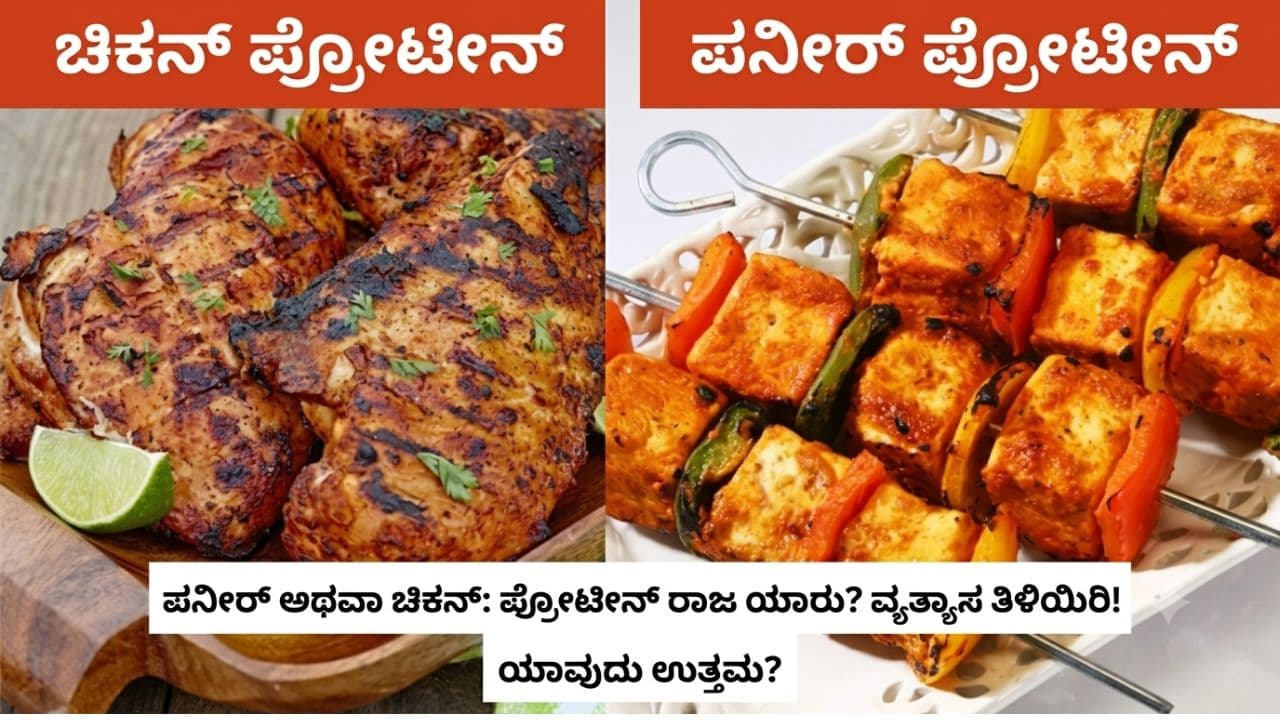 ಪನೀರ್ vs ಚಿಕನ್: ಪ್ರೋಟೀನ್ ವಿಚಾರದಲ್ಲಿ ಯಾವುದು ಬೆಸ್ಟ್? ತೂಕ ಇಳಿಸಲು ಯಾವುದು ಹೆಚ್ಚು ಸೂಕ್ತ?