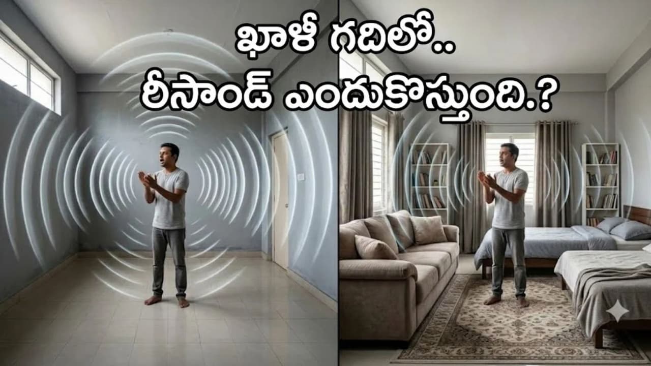 ఖాళీ గదిలో ప్రతిధ్వని ఎందుకు వినిపిస్తుంది?
