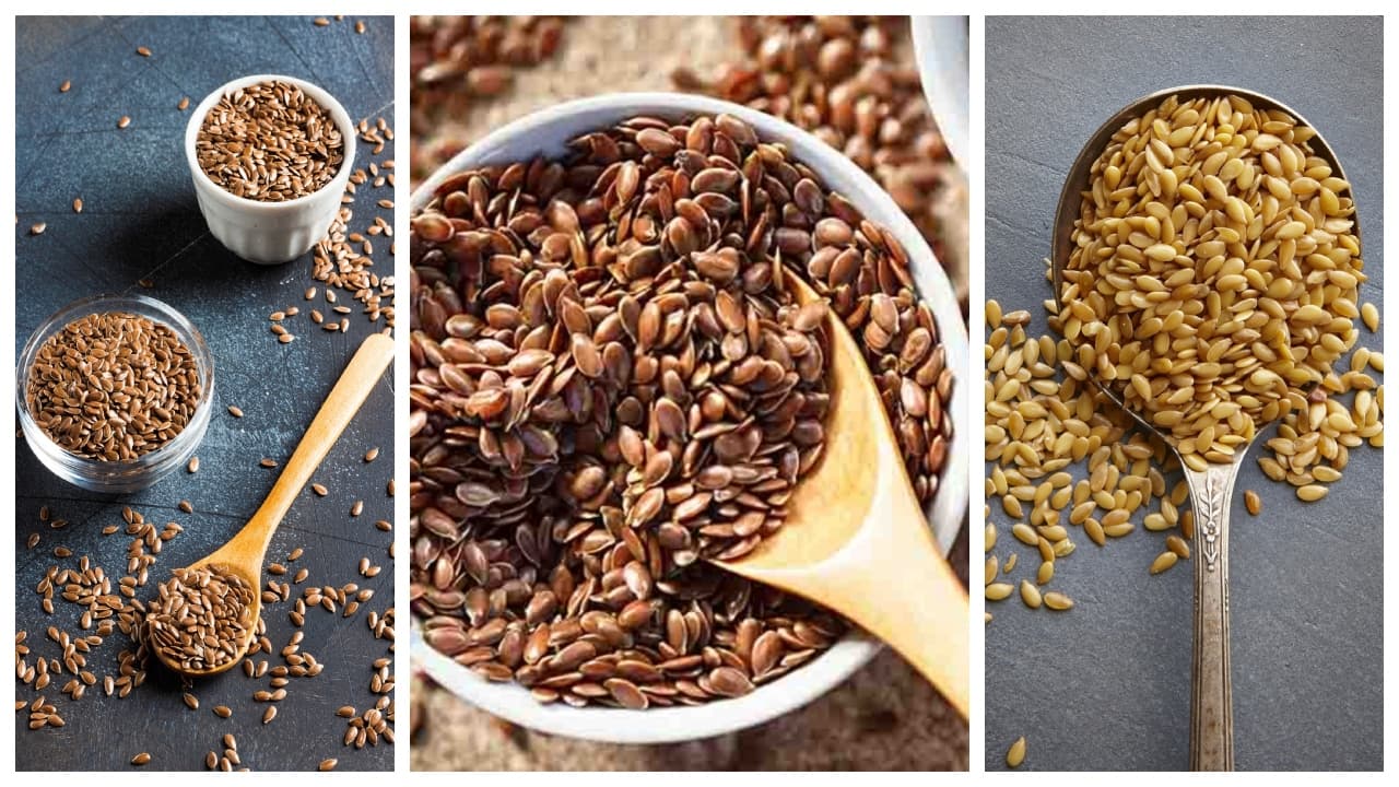 Soaked Flaxseed Water: ಅಗಸೆ ಬೀಜ ನೆನೆಸಿದ ನೀರು ಕುಡಿದರೆ ದೇಹದಲ್ಲಿ ಏನೆಲ್ಲಾ ಬದಲಾವಣೆ ಆಗುತ್ತೆ?