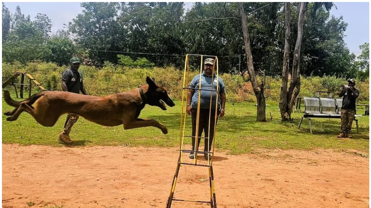 Karnataka News Live: ಕರ್ನಾಟಕದಲ್ಲಿ ದೇಶದಲ್ಲೇ ಮೊದಲ ಅರಣ್ಯ ಶ್ವಾನಪಡೆ, ಕಾಡುಗಳನ್ನು ಕಾಯಲು ಹೈಟೆಕ್‌ ತರಬೇತಿ ಪಡೆದ 50 ಪಡೆ ಸಿದ್ಧ!