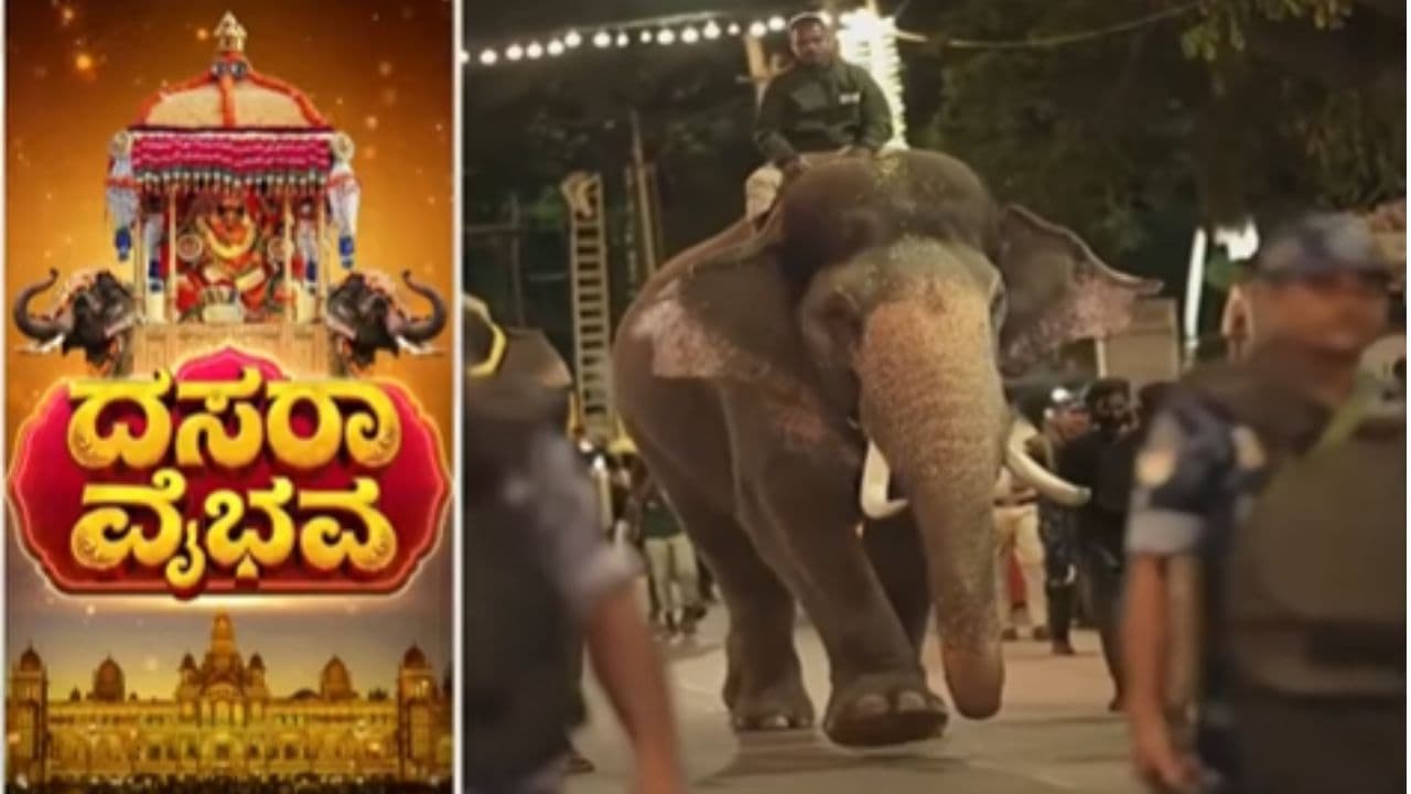 ಮೈಸೂರು ಅಂಬಾರಿ ಹೊರಲು ಪ್ರಶಾಂತ ಆನೆಯೇ ಫಿಕ್ಸ್! ಈ ದಸರಾ ಗಜಪಡೆಯ ಕ್ಯಾಪ್ಟನ್‌ಗಿದೆ ಶಿವಮೊಗ್ಗ ನಂಟು!