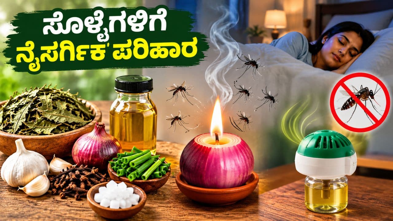ಸೊಳ್ಳೆ ಕಾಟಕ್ಕೆ ಶೂನ್ಯ ಬಂಡವಾಳದ ಪರಿಹಾರ: ನೈಸರ್ಗಿಕ ಮನೆಮದ್ದು ಬಳಸಿ, ಸೊಳ್ಳೆಗಳನ್ನು ಓಡಿಸಿ!