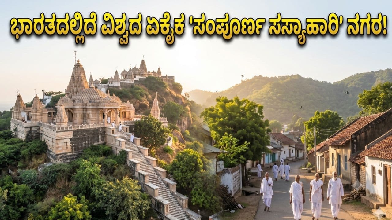 ಭಾರತದಲ್ಲಿದೆ ವಿಶ್ವದ ಏಕೈಕ 'ಸಸ್ಯಾಹಾರಿ' ನಗರ: ಇಲ್ಲಿ ಮಾಂಸ-ಮೊಟ್ಟೆ ಮಾತ್ರವಲ್ಲ, ಈರುಳ್ಳಿ-ಬೆಳ್ಳುಳ್ಳಿಯೂ ಬ್ಯಾನ್!