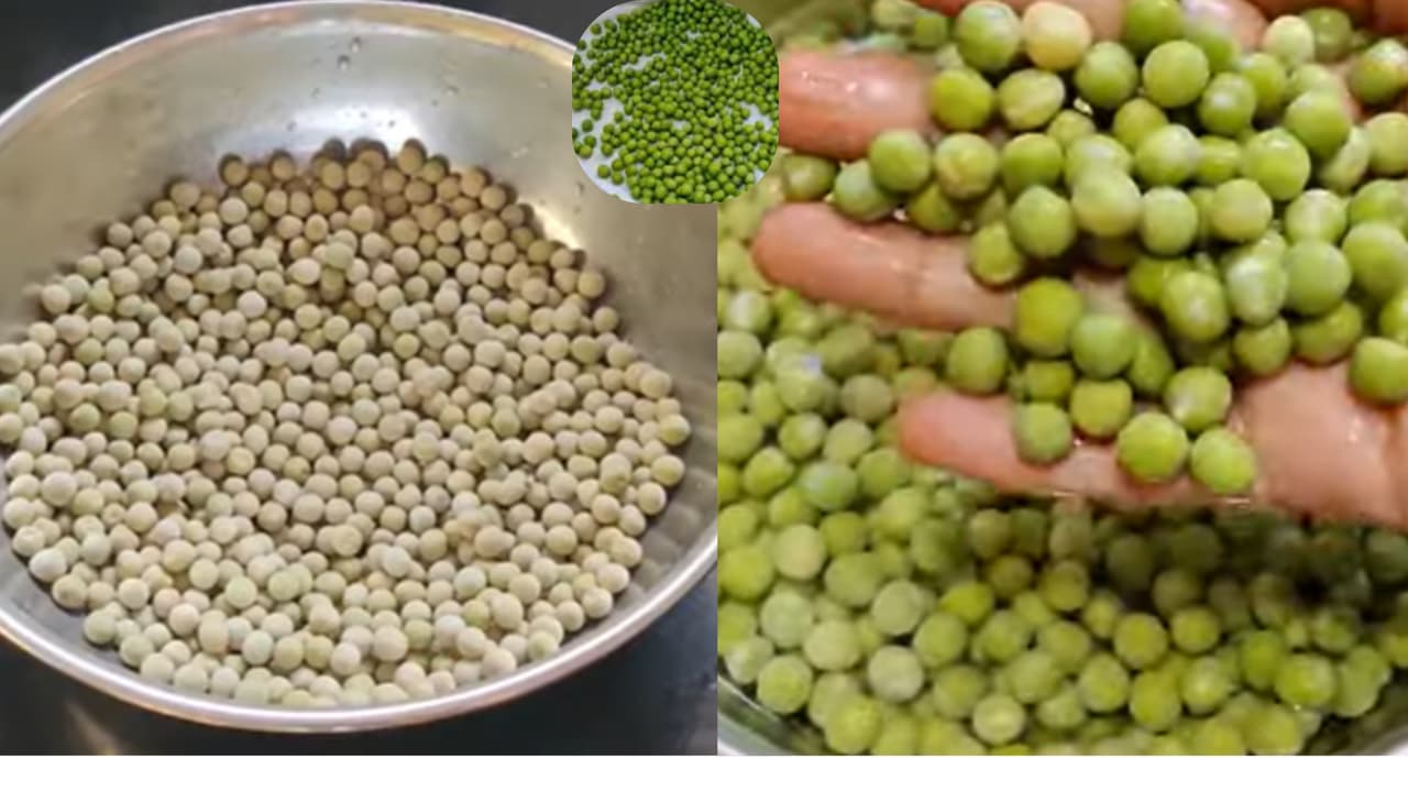 ರಾತ್ರಿ ಒಣ ಬಟಾಣಿ ನೆನೆಸೋಕೆ ಮರೆತುಹೋಯ್ತಾ? 1 ಗಂಟೆಯಲ್ಲಿ ಬೆಣ್ಣೆಯಂತೆ ಮೃದುವಾಗಿ ಉಬ್ಬಲು ಇಲ್ಲಿದೆ ಸಿಂಪಲ್ ಟ್ರಿಕ್