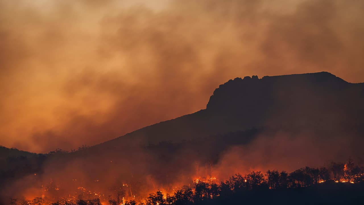 Toxic Haze Chokes Southeast Asia As Indonesian Wildfires Fuel Growing Public Health Emergency