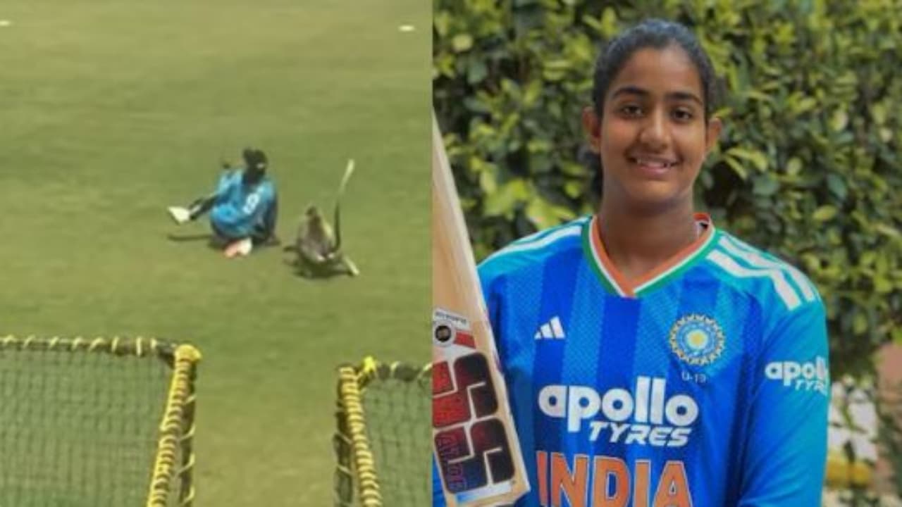 'മത്സരത്തിനിടെ താരത്തിന്റെ അടുത്തേക്ക് കുരങ്ങന് പാഞ്ഞെത്തി'; കര്ണാടക-വിദര്ഭ അണ്ടര് 19 മാച്ചിനിടെ നാടകീയ രംഗങ്ങള്