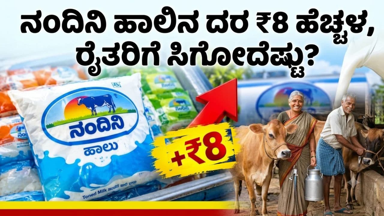 ರಾಜ್ಯದ ರೈತರಿಗೆ ದೀಪಾವಳಿ ಗಿಫ್ಟ್: ನಂದಿನಿ ಹಾಲಿನ ದರ ₹8 ಏರಿಕೆಯಲ್ಲಿ ಹೈನುಗಾರರಿಗೆ ಸಿಗೋದೆಷ್ಟು?