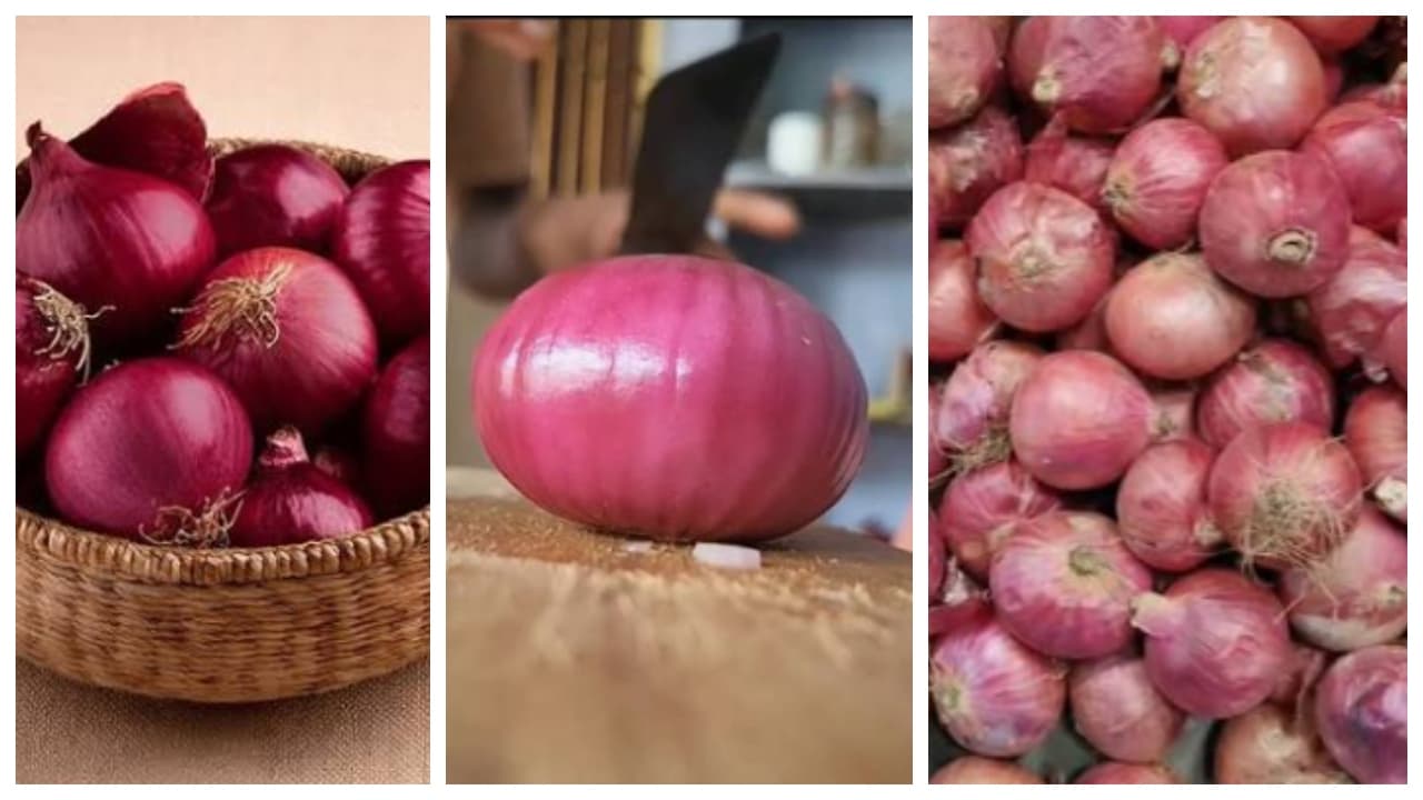 ಈರುಳ್ಳಿ ಮನೆಗೆ ತರುವ ಮೊದಲು ಈ ತಪ್ಪು ಮಾಡಬೇಡಿ; ಇಲ್ಲದಿದ್ದರೆ ಅಡುಗೆ ಮಾಡುವ ಬದಲು ಮನೆ ಕ್ಲೀನ್ ಮಾಡ್ಬೇಕಾಗುತ್ತೆ!