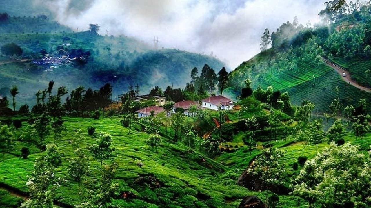 Summer Vacation: Tourist attractions in Coorg that you must explore ...