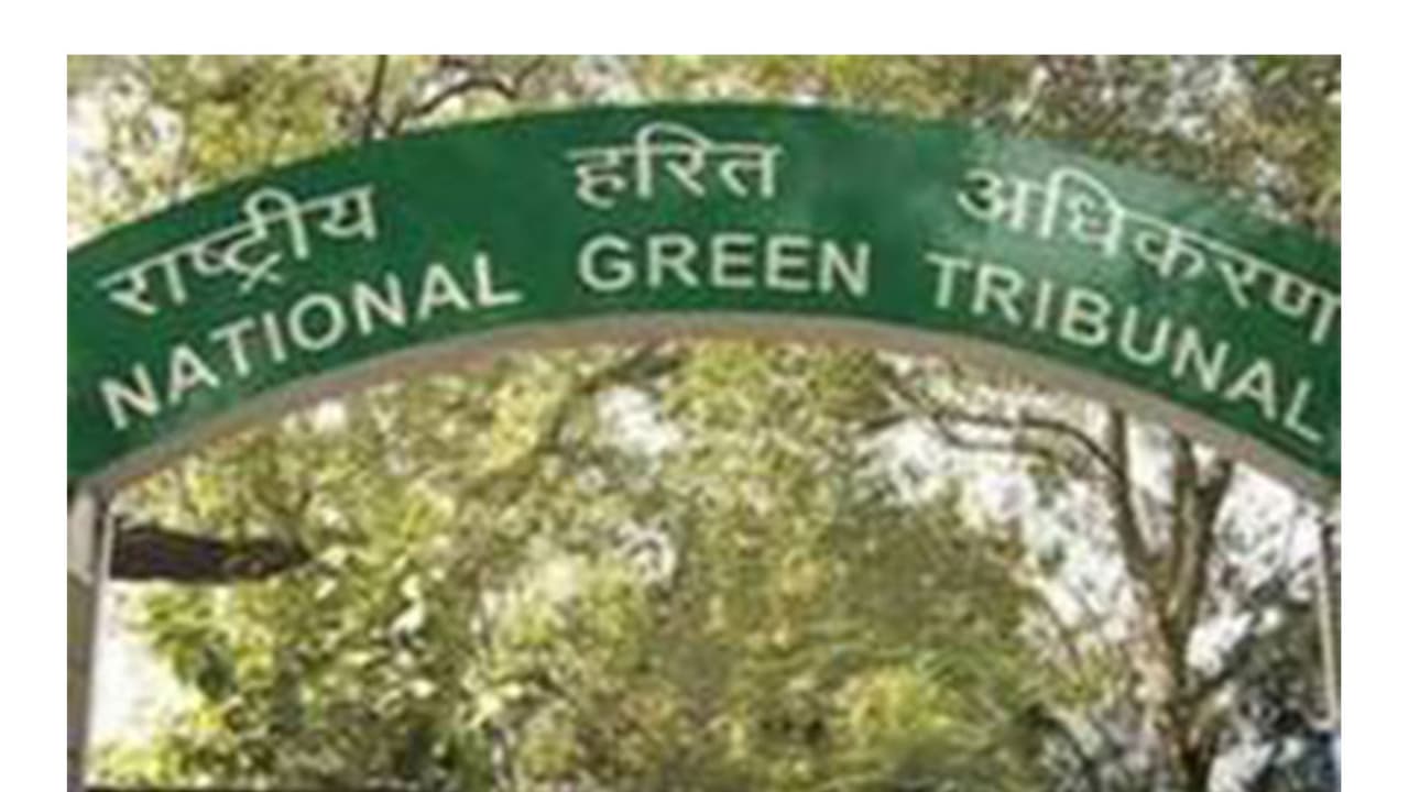 Ganga pollution: NGT directs UP to submit fresh report on measures
