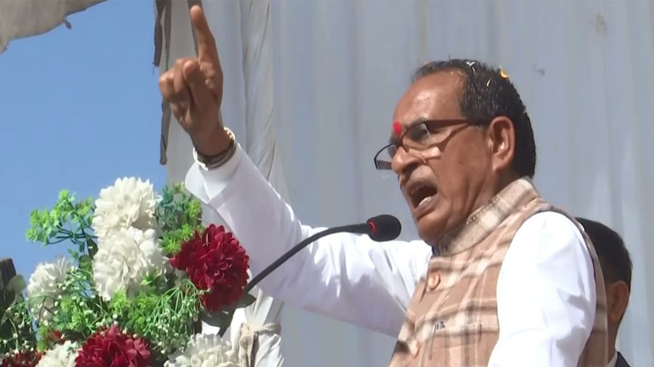 Transforming farmers' lives key, animal husbandry the way: Chouhan