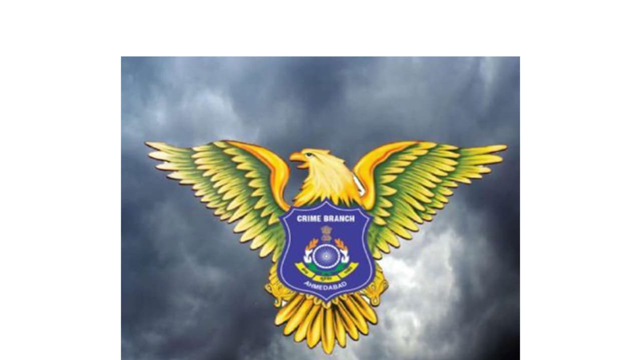 Sophisticated interstate e-commerce fraud syndicate busted in Gujarat