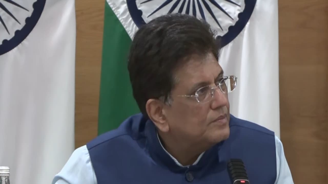 India's $60B pharma industry to double in 5 years: Piyush Goyal