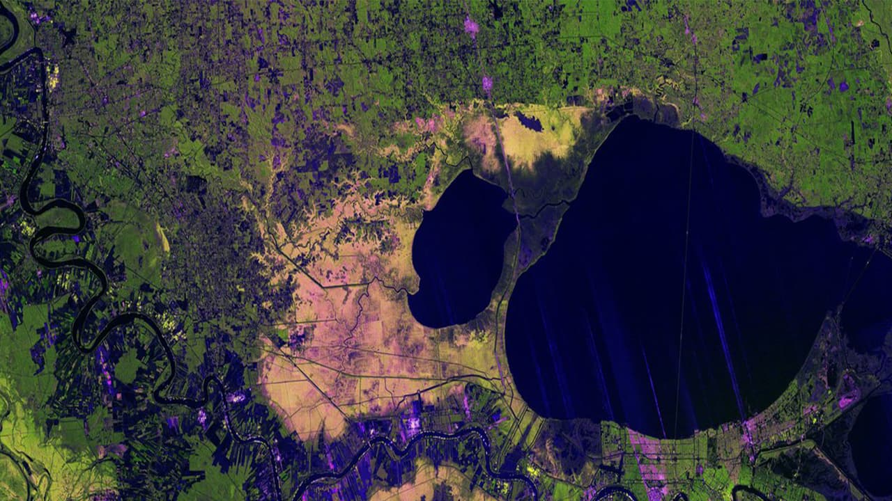 NISAR's New Radar Image Pierces Clouds Over Mississippi River Delta