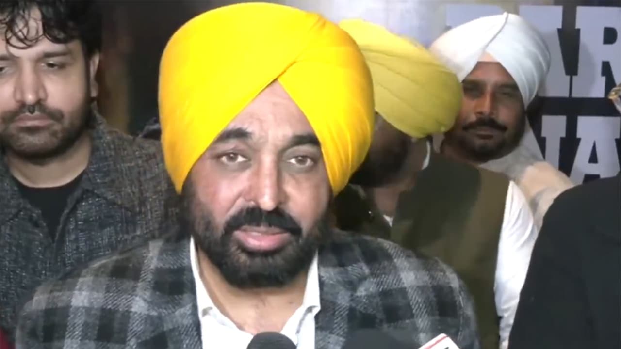 Cinema is a mirror of society: Punjab CM Mann on 'Paro Pinaki Ki Kahani'