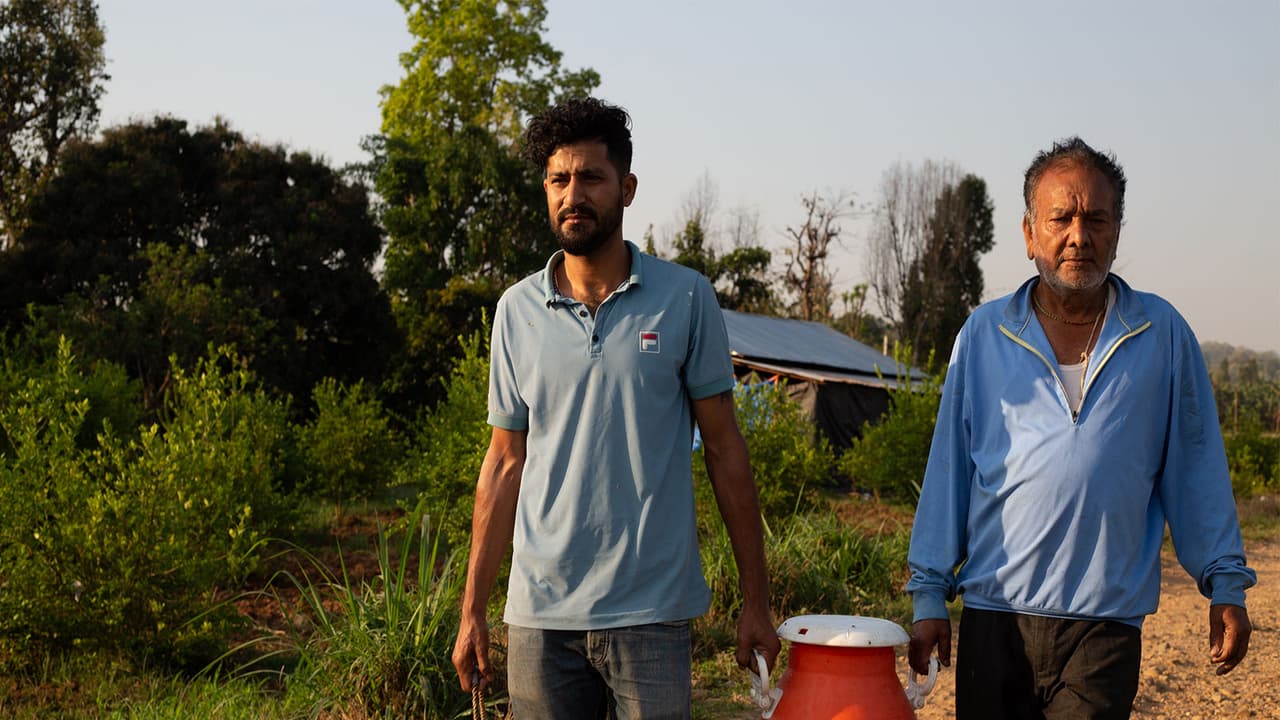 Nepal: Man quits Gulf job for dairy farm, finds satisfaction at home