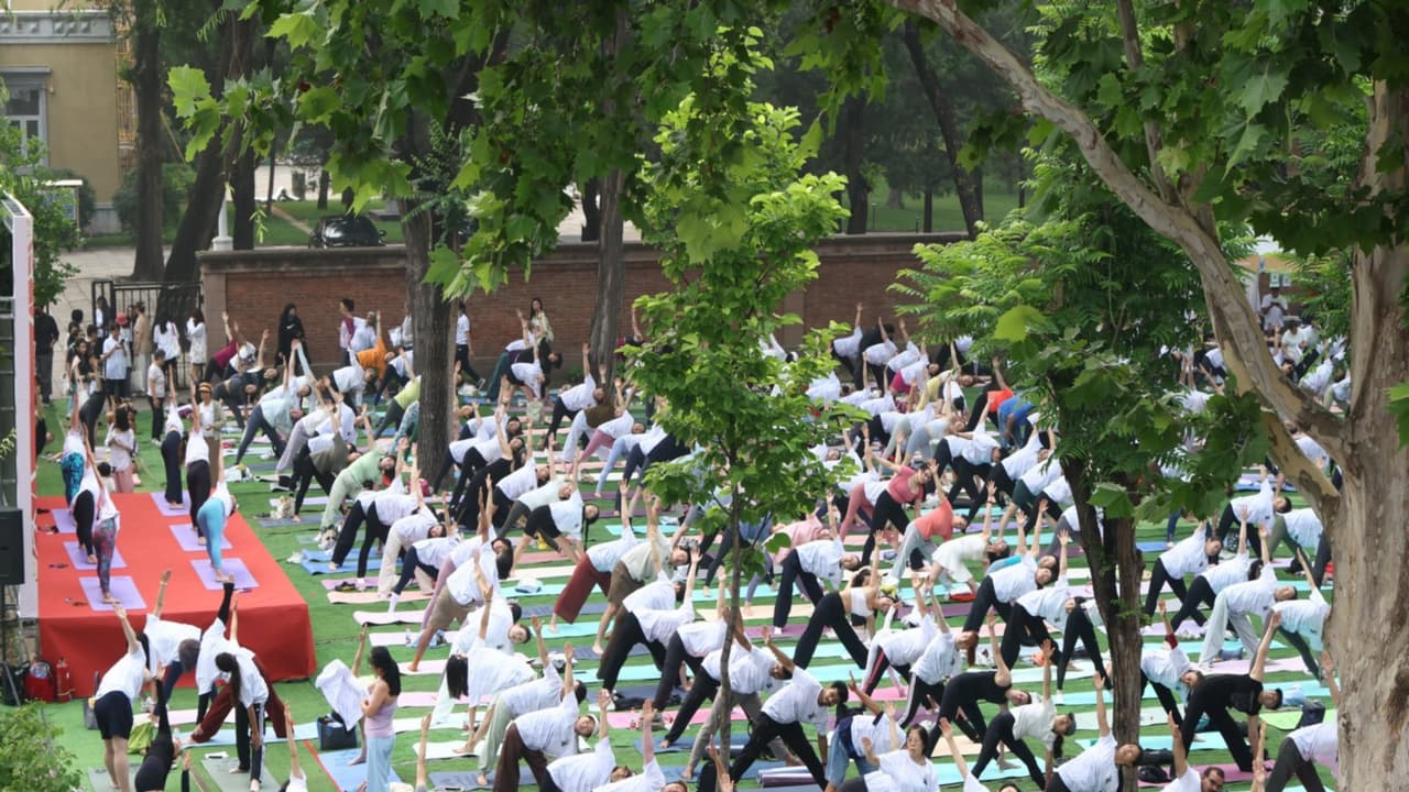 12th International Yoga Day: Indian embassies in China, Japan host events
