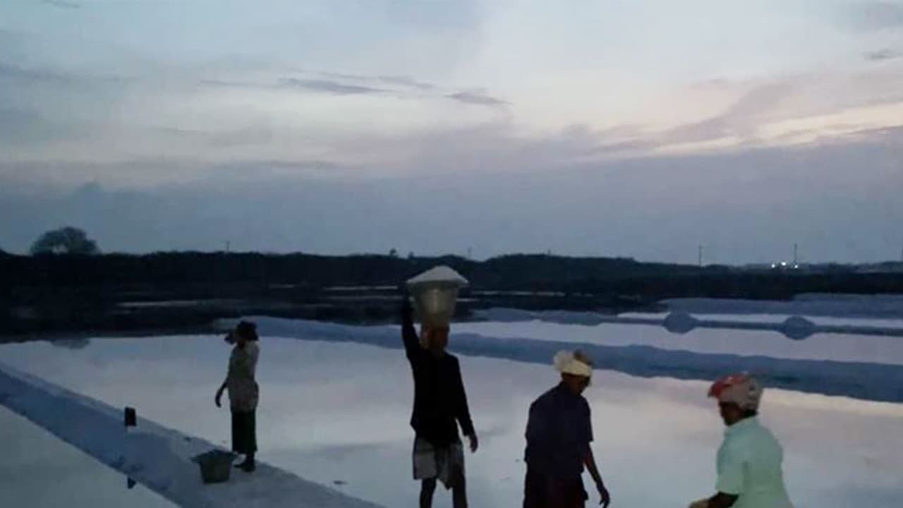 Thoothukudi: Salt pan workers start shifts at 1 am amid severe heat
